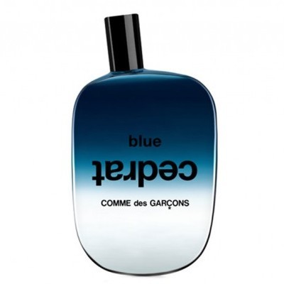 川久保玲CDG Blue Encens/Cedrat/Santal 男士适用香水 100ml - 图2