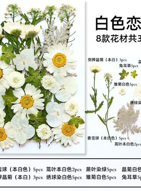 植物压花滴胶书签制作套装