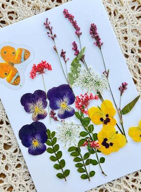 蝶恋花干花手工书签贺卡