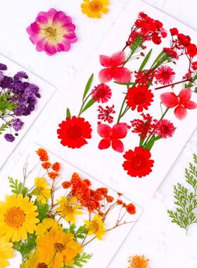 亲子押花滴胶干花材料包
