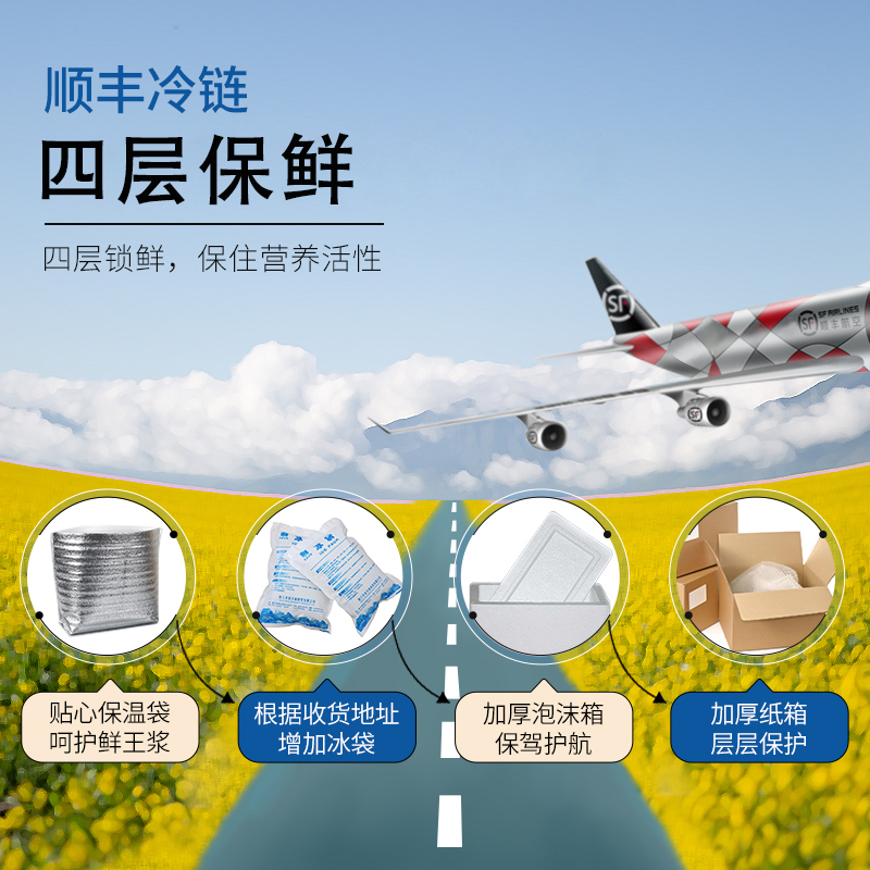 优等品九蜂堂鲜蜂王浆旗舰店正品青海春纯正天然野生蜂皇浆蜂乳