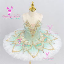 Danyi Champagne Blue Green Ballet Dancing out of dress Tutu Competition Conserve Performance Conserve Professional Custom