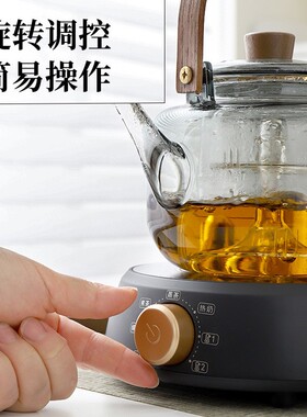 110V伏电陶炉电茶炉电热炉烧水壶煮茶器花茶煮茶壶出口北美加日