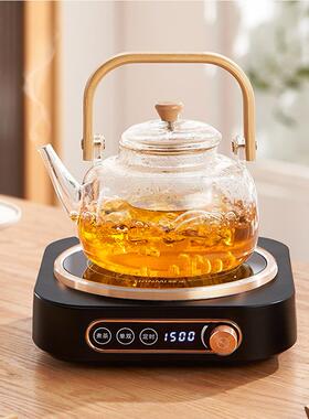 110V伏美规煮茶器电陶炉多功能煮茶壶电茶炉电水壶出口北美加日