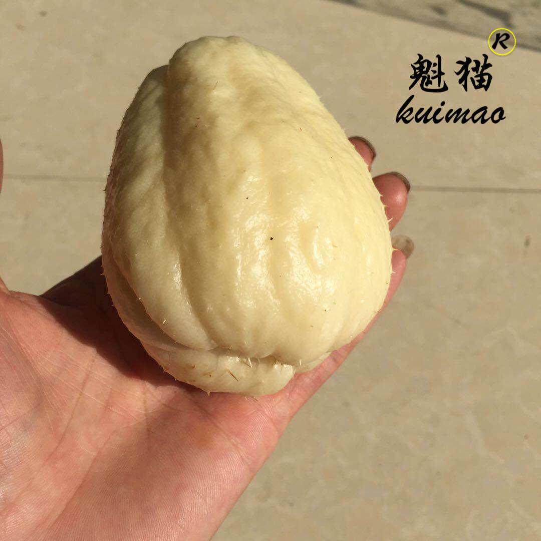 农家自种应季新鲜蔬菜白色佛手瓜窝瓜洋瓜现摘猪肉瓜刺瓜10斤特价