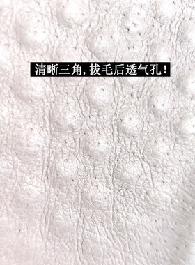 达利拉真皮鞋垫透气减震运动鞋垫