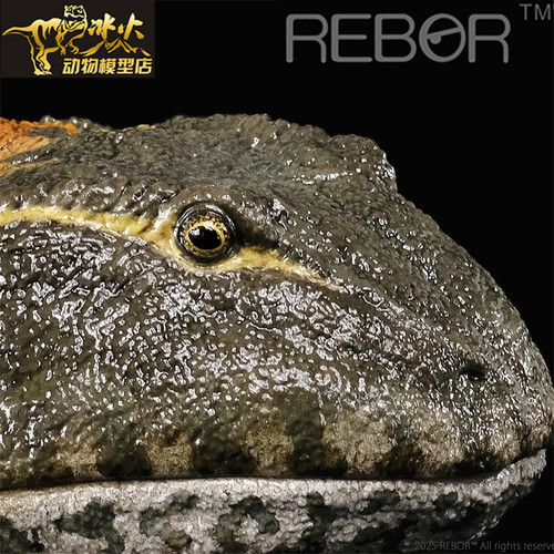 REBOR侏罗纪恐龙25/超可动魔鬼蛙超可动恶魔角蛙成人模型玩具现货 - 图2