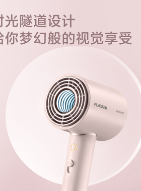 飞科负离子家用电吹风机