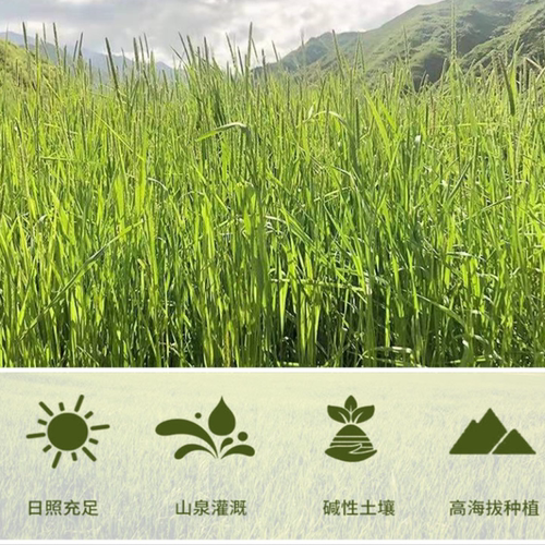 26年烘干提摩西草干草北提毛重1kg兔子草料饲料龙猫荷兰猪粮食 - 图2