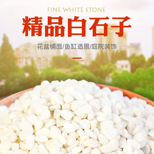 白石子鱼缸庭院造景摆件鹅卵石多肉铺面小石子装饰雨花石 - 图0
