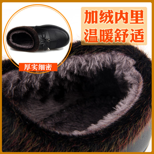Chaussures d'hiver en velours et coton chaud pour femmes, pour mères d'âge moyen et âgées