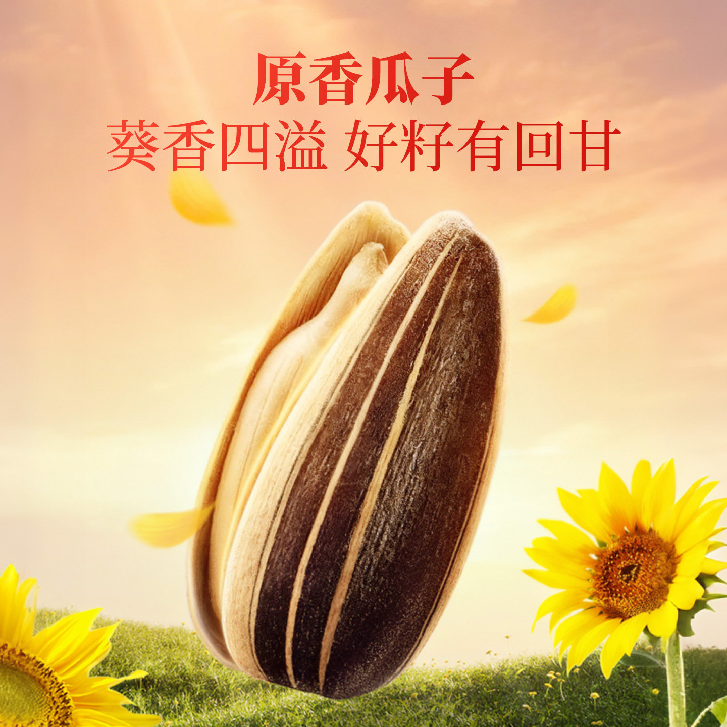 洽洽暴富桶720g洽宝财神款葵花子