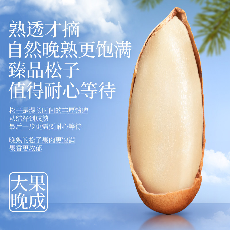 【洽洽】阿富汗手剥松子238g罐装