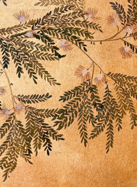 手绘画从今往后金箔玫瑰
