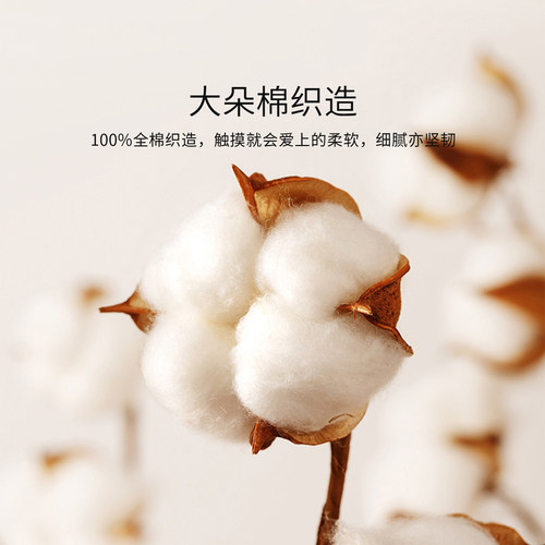 TEVEL/堂皇四件套全棉磨毛秋冬季加厚保暖床单被套 - 图3