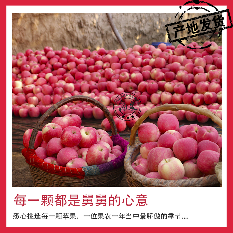 静宁红富士苹果甘肃新鲜现摘脆甜当季水果2022年新摘苹果9斤包邮 - 图1