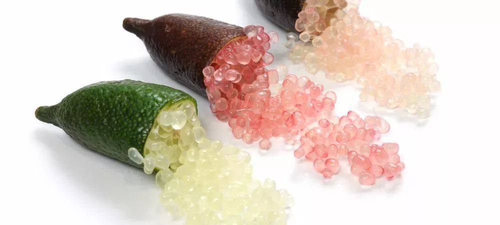 二师兄木本植物盆栽香水柠檬血柠檬手指柠檬趣味观果四季盆景,淘宝优惠券,粉丝福利购,淘宝优惠卷