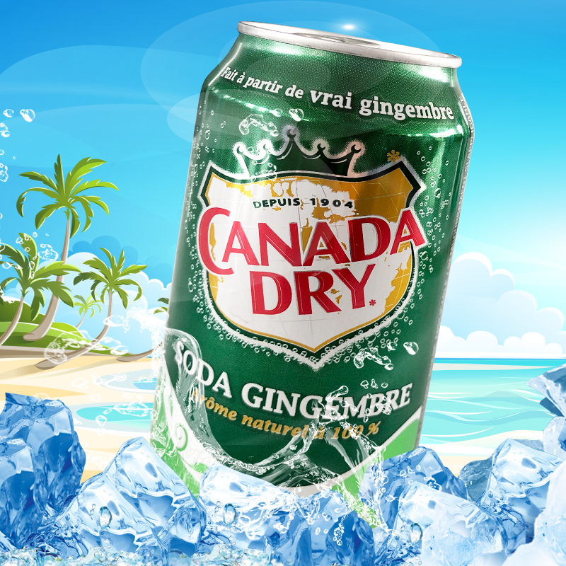 现货加拿大进口Canada dry Ginger Ale姜味苏打汽水碳酸饮料355ml - 图0