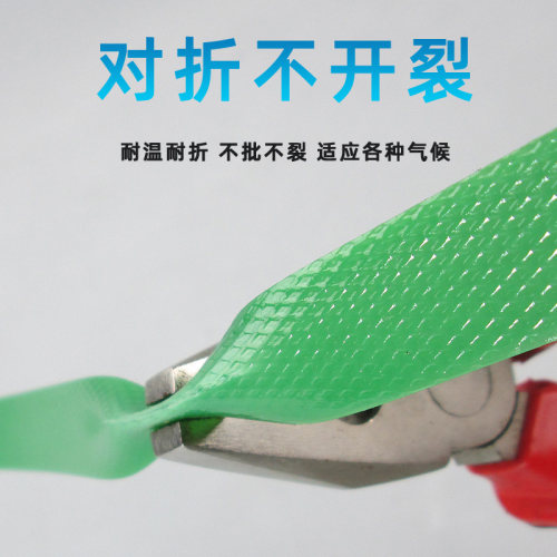 1608PET塑钢打包带手动捆扎绿色热熔塑料包装带手工编织条10-20kg - 图0