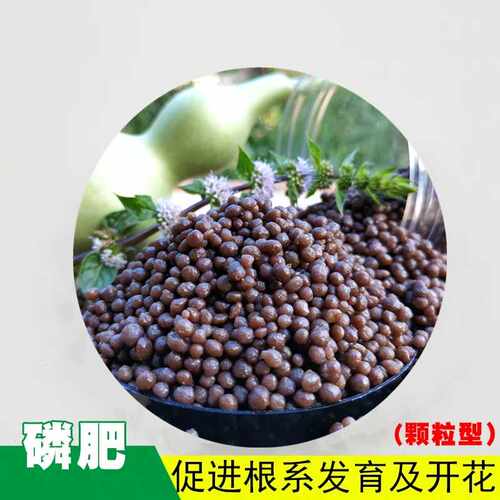 磷肥颗粒高磷肥花卉花盆栽园艺通用型家用氮磷钾肥料植物叶面肥料 - 图0
