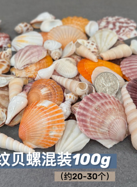 石塑粘土贝壳冰箱贴天然海螺玛瑙