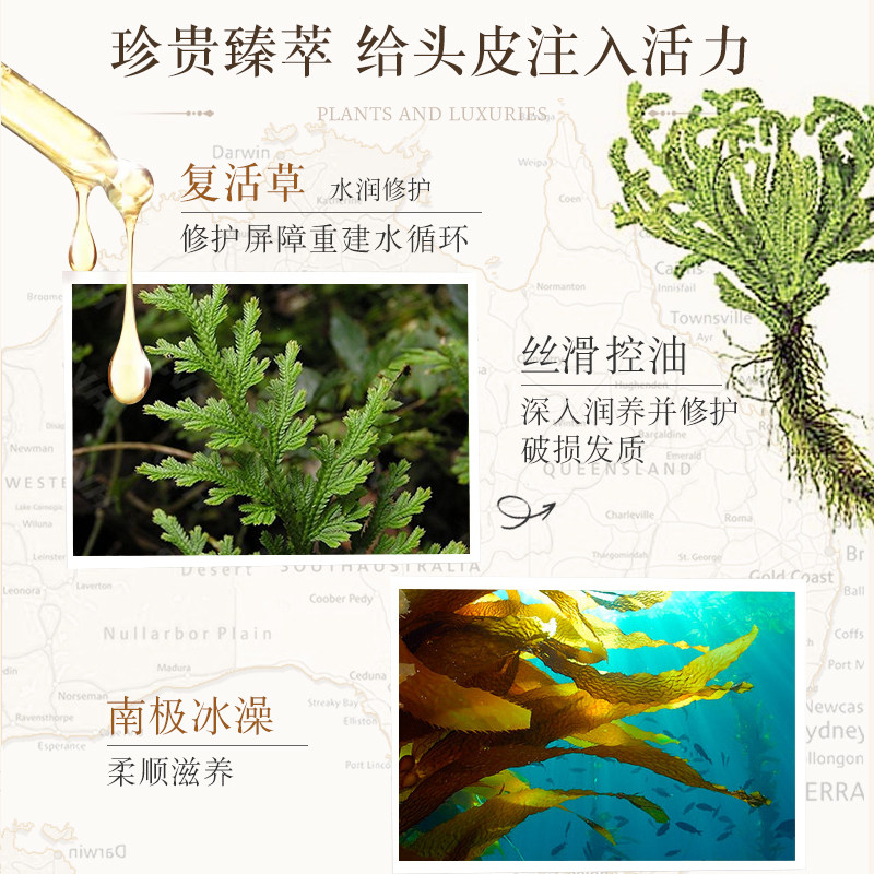 植物语录白松露精油护发素留香保湿深层修护毛躁清爽丝滑润发乳,淘宝优惠券,粉丝福利购,淘宝优惠卷