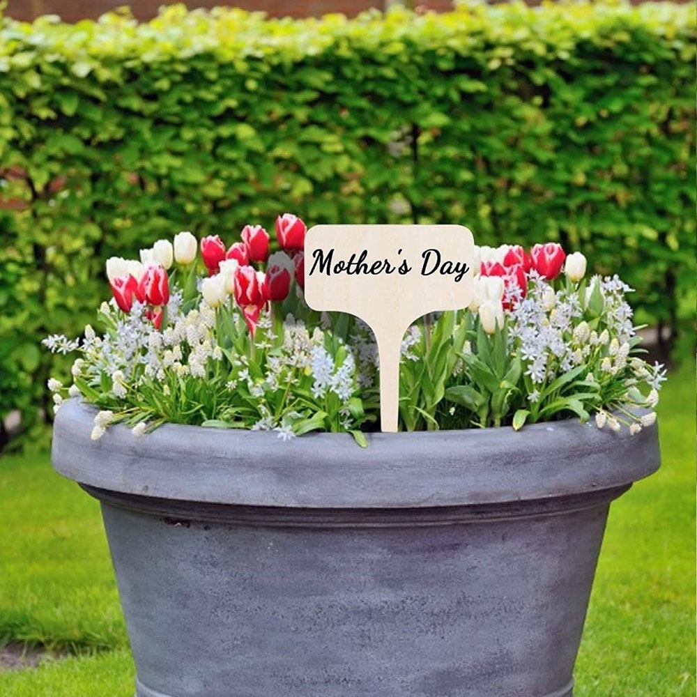 木制插牌花园多肉园艺植物花卉指示牌景观标识签多造型标签插花牌 - 图2