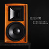 Feisi vr10 speaker karaoke solid wood
