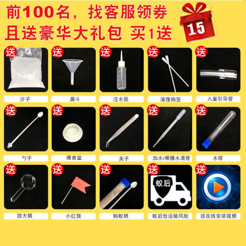 蚂蚁工坊沙土版 大头蚁蚂蚁城堡豪华宫殿别墅 送蚁后可繁殖可产卵 - 图0