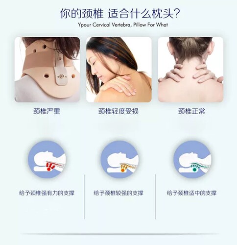 七年老店中老年人枕头高硬枕颈椎保健护颈枕成人慢回弹记忆枕长辈 - 图2