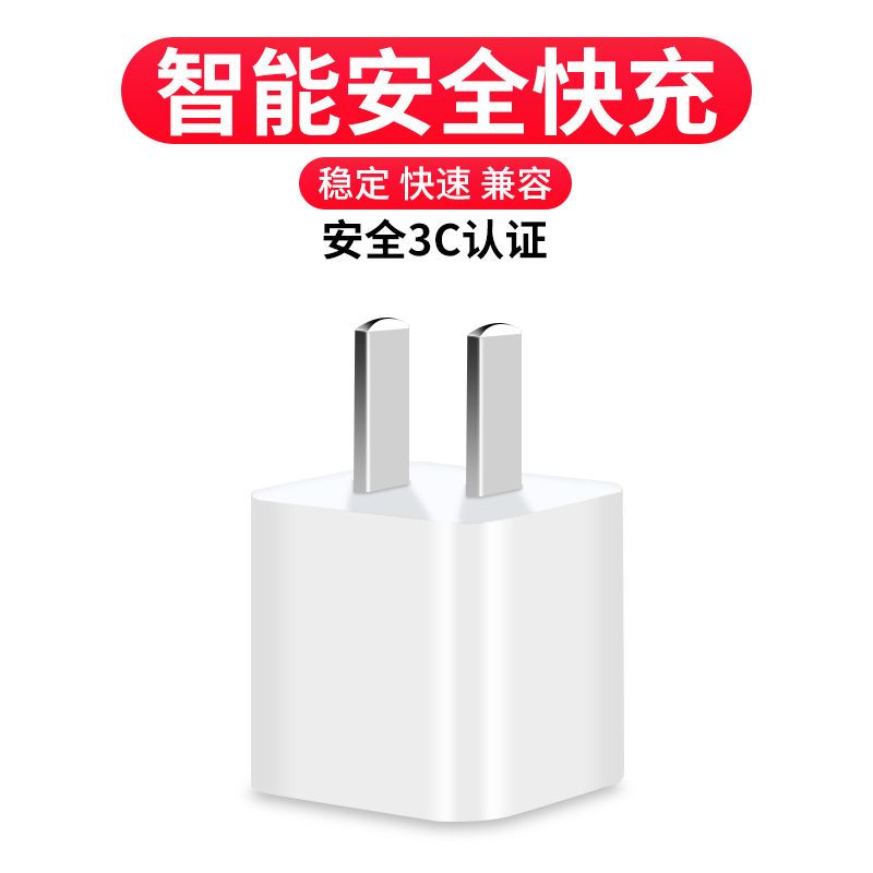 数据线适用苹果iPhone通用手机快充充电线7/8P/x/xs/xriPad快充器 - 图2