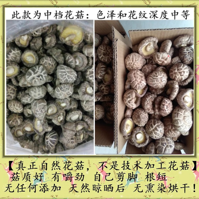 白花菇王ABC级无熏染农家自产河南西峡特产500礼盒送礼干货茶香菇