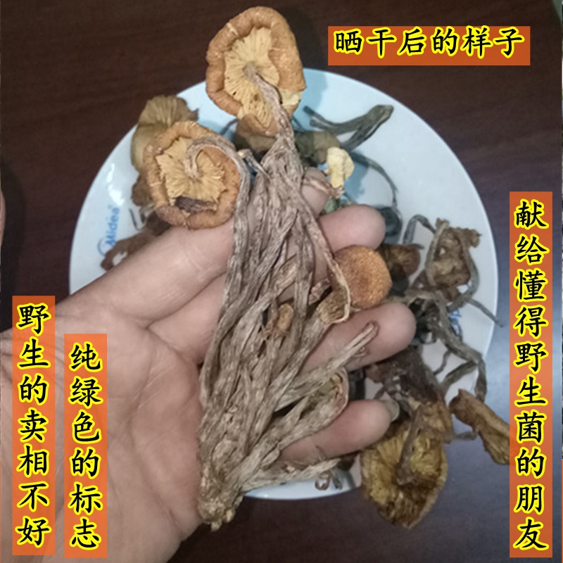 野外生茶树菇青冈2020干货非四川青杠河南西峡礼盒特产250g树秋菌高清大图