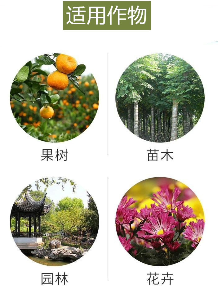 20%乙螨唑挫 乙满唑红蜘蛛杀虫剂果树蔬菜柑橘杀螨剂农药包邮500g - 图0