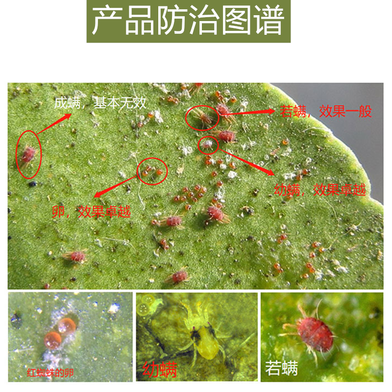 20%乙螨唑挫 乙满唑红蜘蛛杀虫剂果树蔬菜柑橘杀螨剂农药包邮500g - 图1