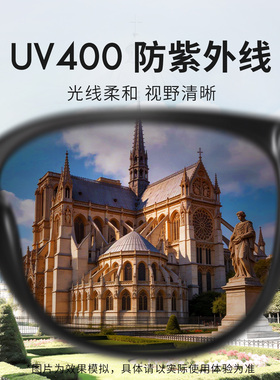 ELLE超轻茶色墨镜2026年新款