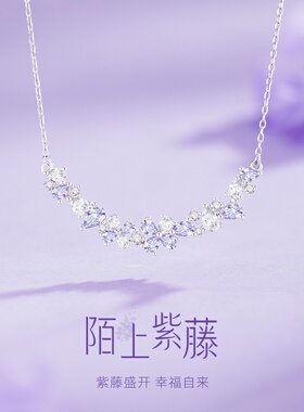 小众设计紫藤花锆石锁骨链女款
