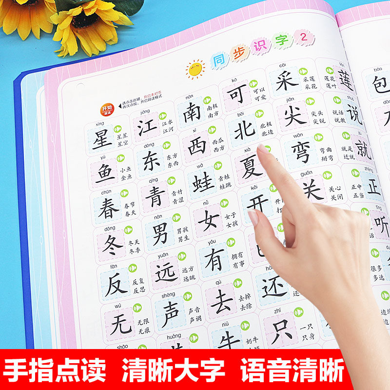 会说话的识字大王2000字+4000组词小儒童手指点读发声大中班宝宝儿童幼小衔接认字早教益智启蒙可usb充电版教材同步1-3年级语文