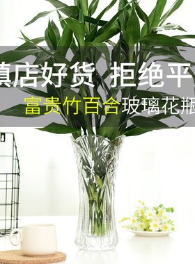 花瓶摆件客厅简约居家富贵竹