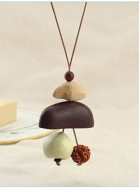 愿望种子系列植物干果吊坠项链