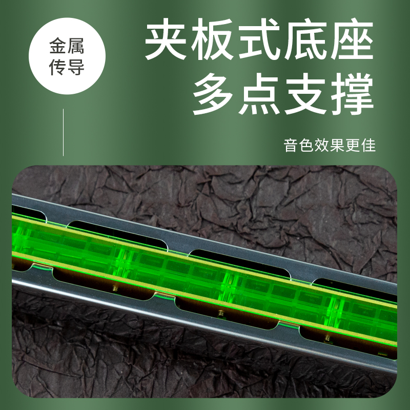 上海国光复音口琴 新包装国光口琴24孔口琴初学者C调口琴重音口琴 - 图2