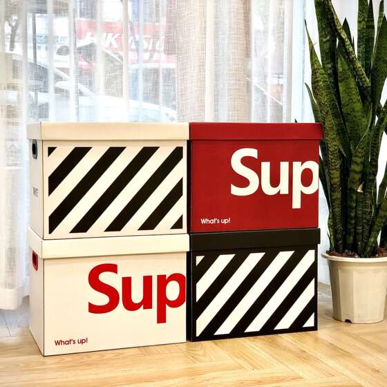Internet celebrity storage box carton ins for storing books and clothing
