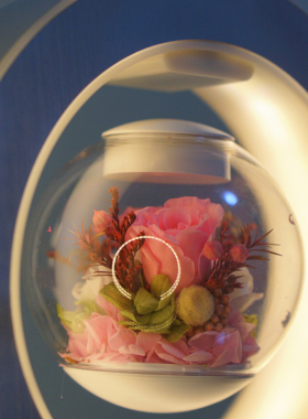 磁悬浮永生花礼盒玫瑰