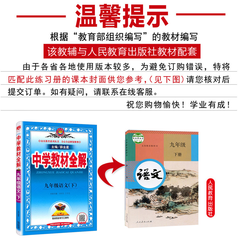 2024新版薛金星中学教材全解九年级下册语文数学英语教材全解人教部编版9年级下册/初三3下册九年级下册全解教材讲解资料辅导书 - 图3