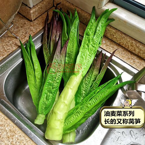 仿真水果蔬菜摆件客厅装饰模型假生菜西兰花包菜橱柜家居展示道具 - 图0