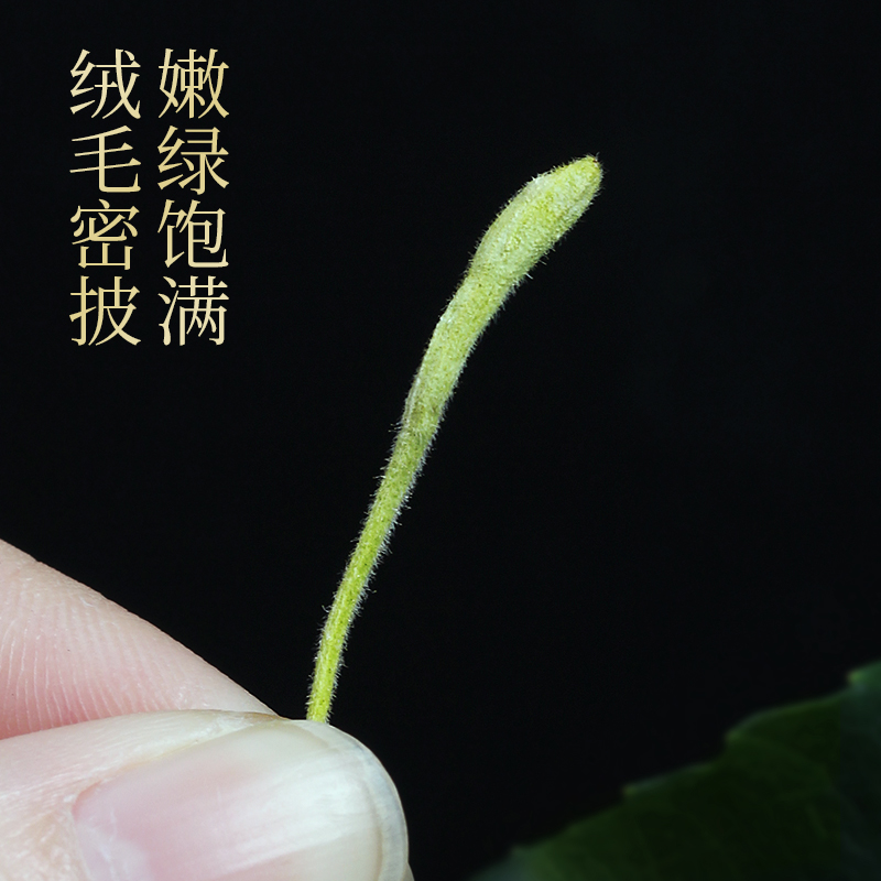 金银花茶胎菊封散装丘干金山银花菊花茶正品泡凉茶无清火洗澡婴儿-图0