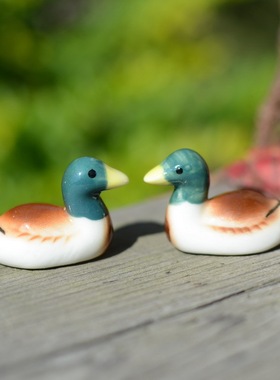 微景观多肉植物园艺盆栽小摆件