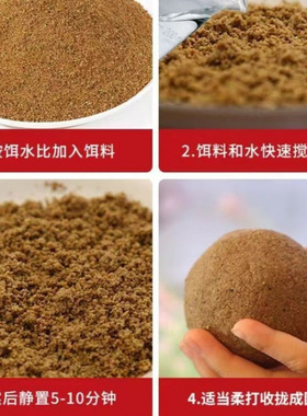 凤渔子河冠鲤鱼饵料通杀