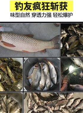 天网红虫蚯蚓颗粒底窝料