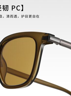 新款大框复古太阳镜时尚潮流墨镜